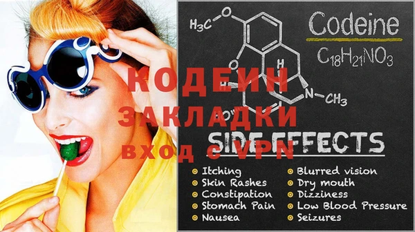прущие грибы Осинники