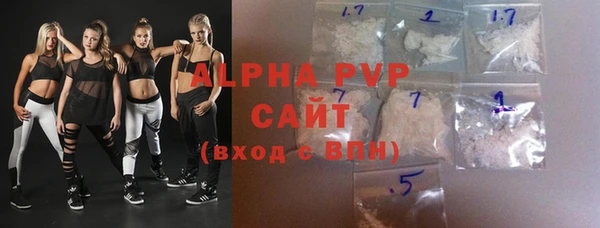ECSTASY Богородицк