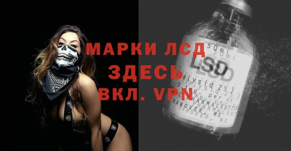 прущие грибы Осинники