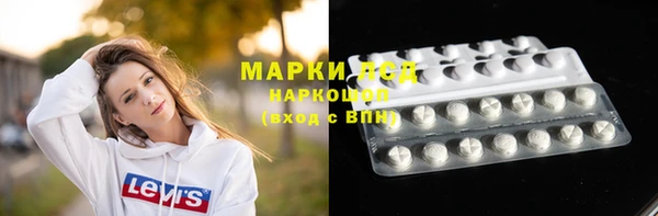 прущие грибы Осинники
