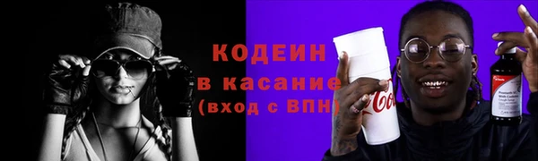 прущие грибы Осинники
