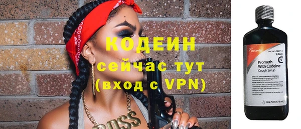 прущие грибы Осинники