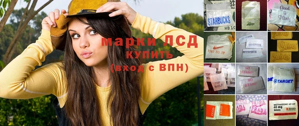 прущие грибы Осинники