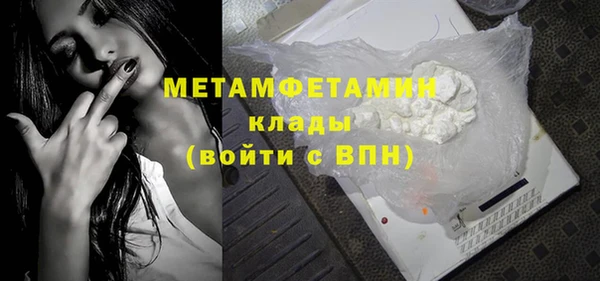 прущие грибы Осинники