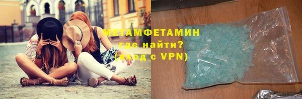 прущие грибы Осинники