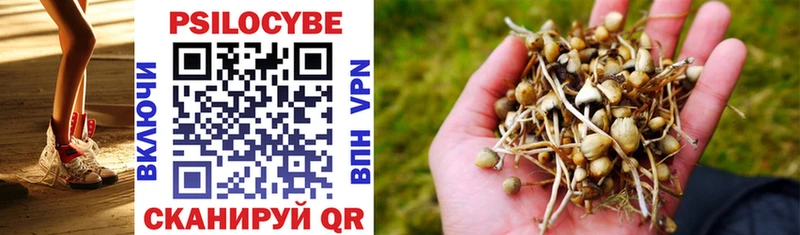 наркота  OMG рабочий сайт  Галлюциногенные грибы Cubensis  Балашов 