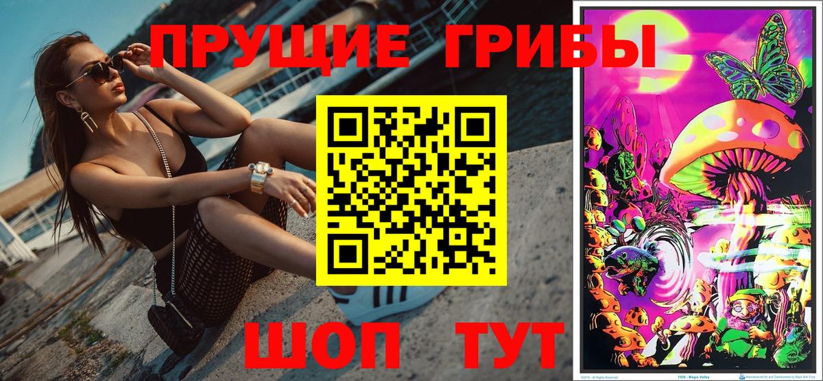 Псилоцибиновые грибы Psilocybine cubensis  Вход с VPN  Балашов 